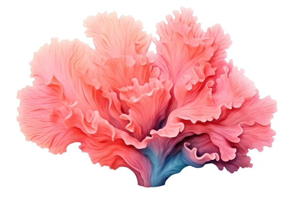 Coral reef flower petal plant. AI generated Image by rawpixel.