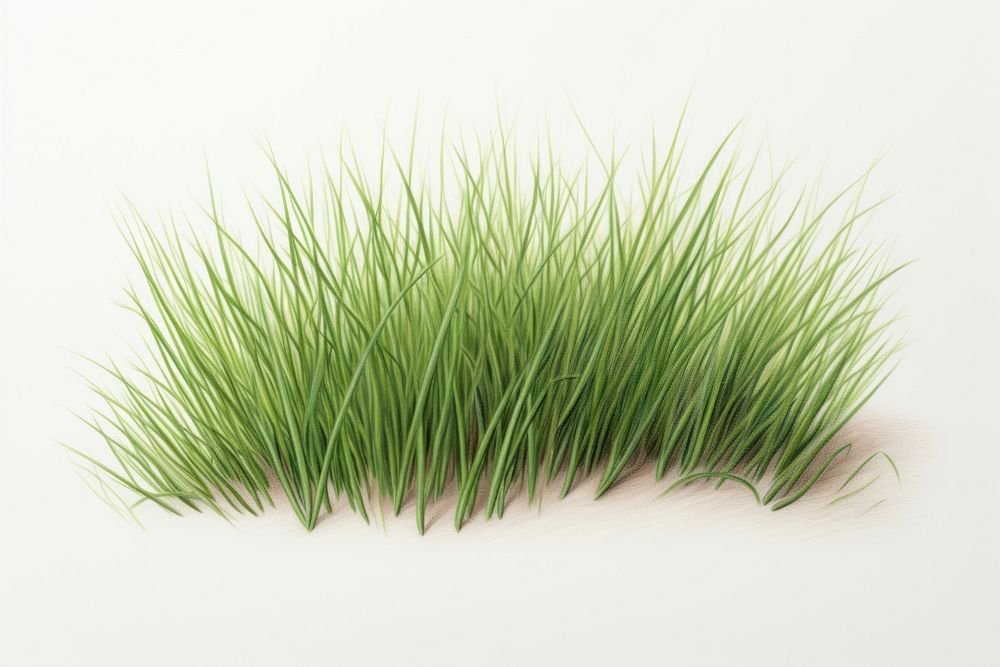Grass plant lawn tranquility. AI generated Image by rawpixel.
