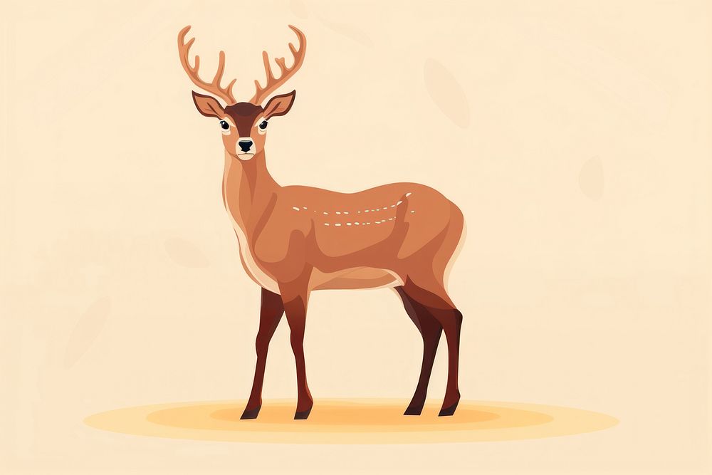 Deer wildlife animal mammal. 