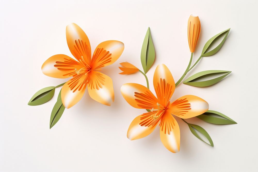Orange lillys flower petal plant. AI generated Image by rawpixel.