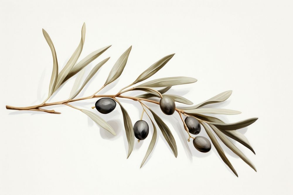 Olive branch plant leaf accessories. AI generated Image by rawpixel.