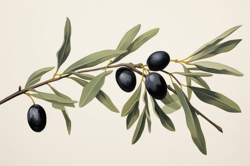 Olive branch plant leaf freshness. AI generated Image by rawpixel.