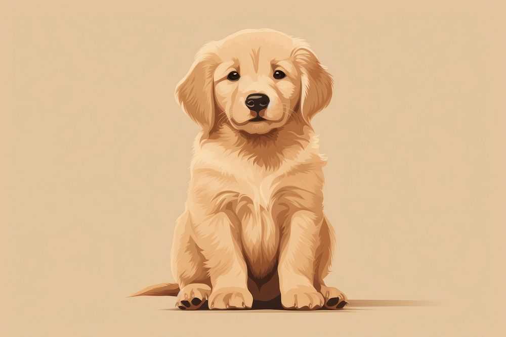 Golden retriever puppy animal mammal dog. 