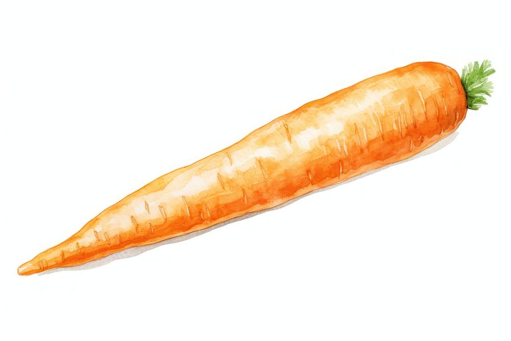 Carrot carrot front view vegetable plant. AI generated Image by rawpixel.