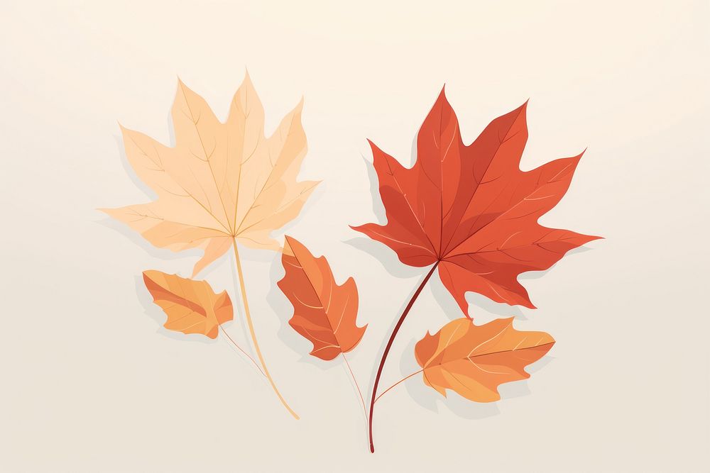 Autumn leave leaves maple plant. AI generated Image by rawpixel.