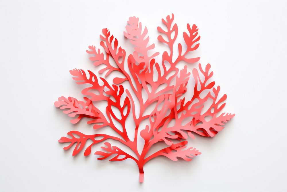 Coral nature plant leaf. AI generated Image by rawpixel.