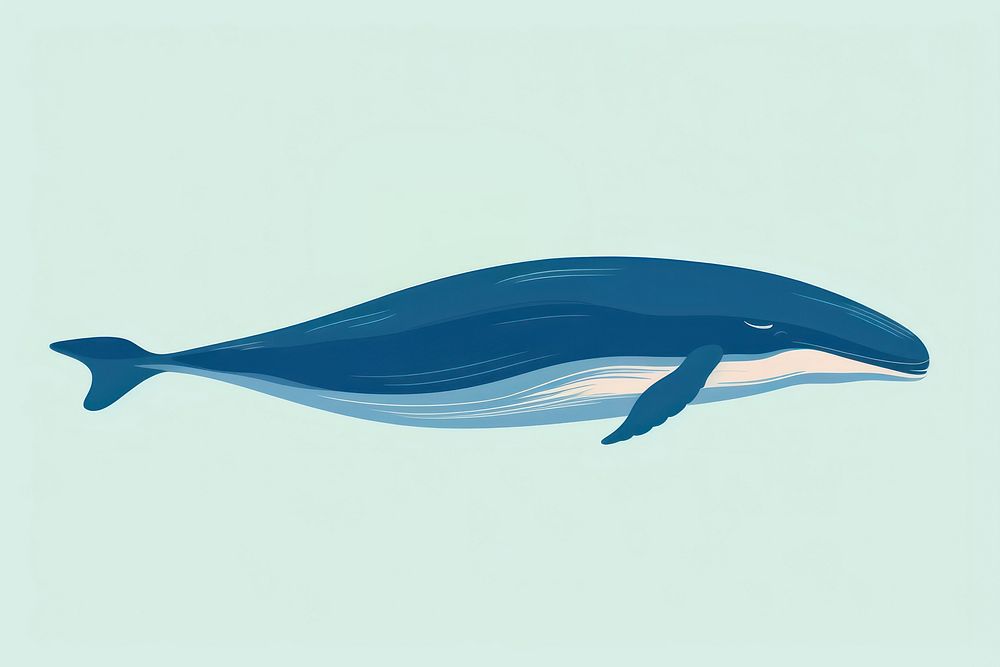 Blue whale wildlife animal mammal. AI generated Image by rawpixel.