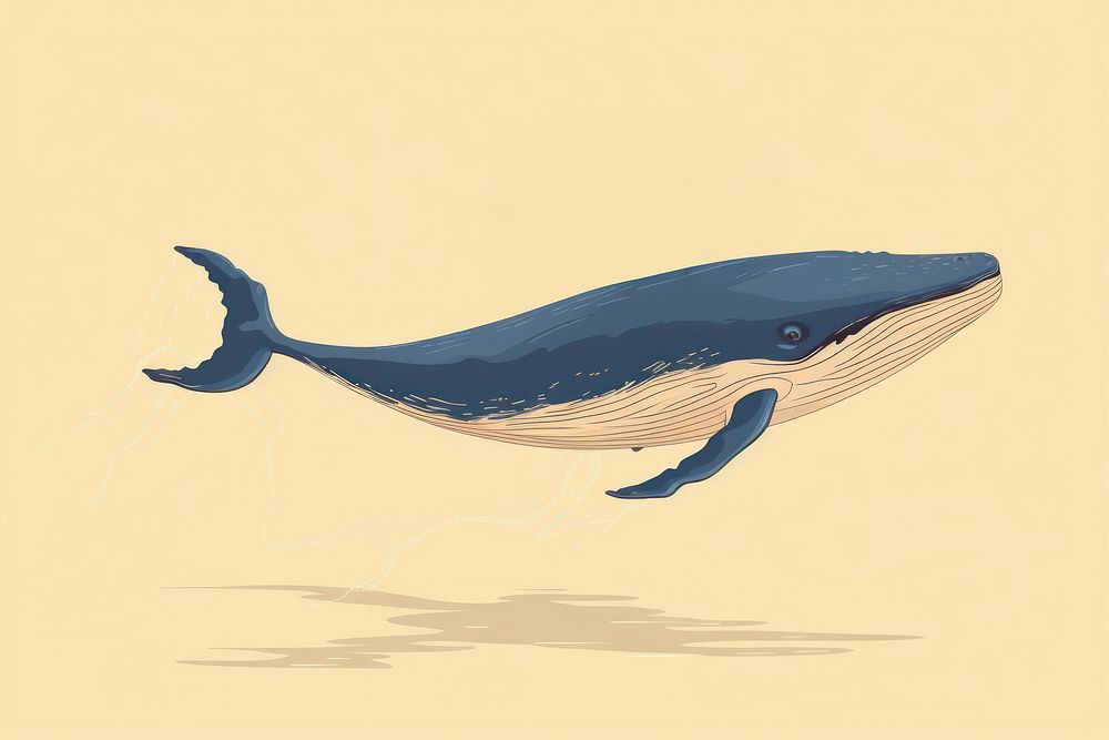 Whale wildlife animal mammal. AI generated Image by rawpixel.