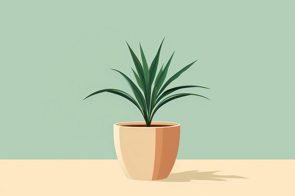 Indoor plant houseplant flowerpot pineapple. 