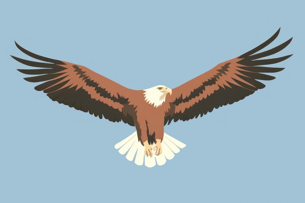 America eagle wildlife vulture animal. AI generated Image by rawpixel.