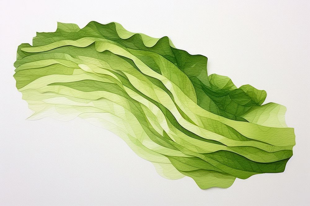 Abstract lettuce paper leaf. AI generated Image by rawpixel.