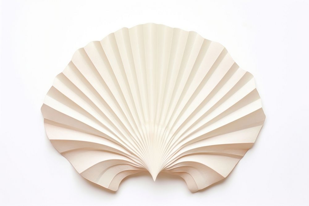 Shell paper clam white background. AI generated Image by rawpixel.