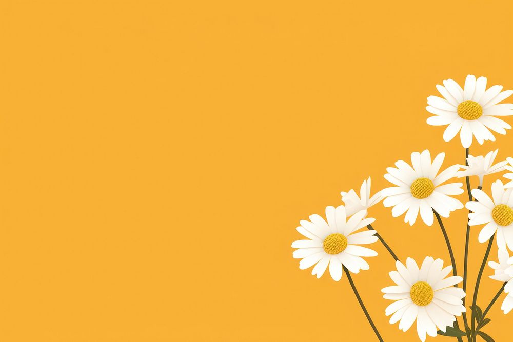 Daisy backgrounds flower petal. AI generated Image by rawpixel.