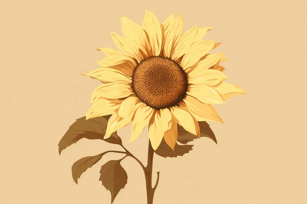 Sunflower plant inflorescence asterales. AI generated Image by rawpixel.