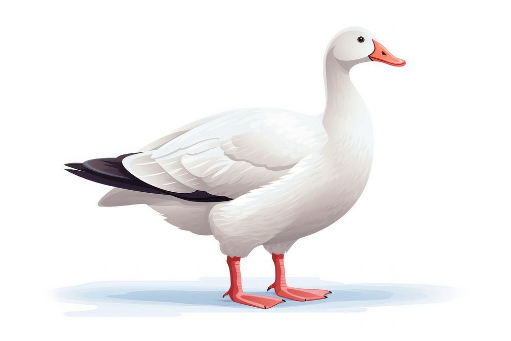 Snow goose animal white bird. AI generated Image by rawpixel.