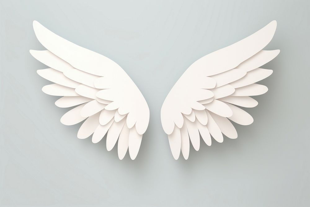 Baby angel wing white creativity appliance. 