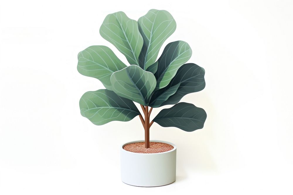 Fiddle-leaf fig houseplant white background freshness flowerpot. AI generated Image by rawpixel.