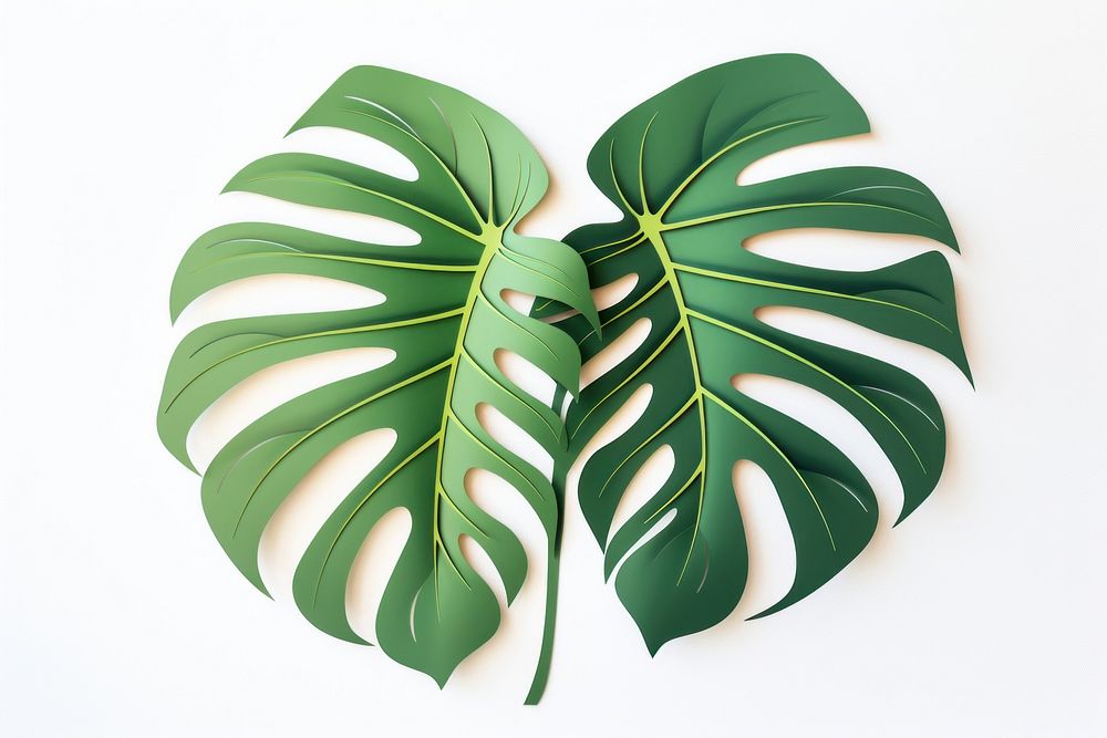 Monstera plant leaf white background chandelier. AI generated Image by rawpixel.