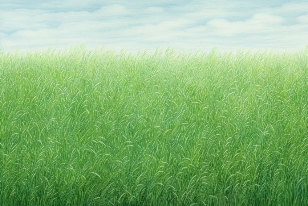 Green field backgrounds outdoors nature. AI generated Image by rawpixel.