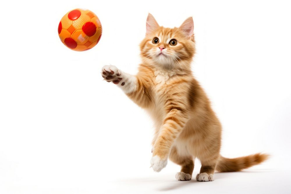 Orange cat catches ball football mammal animal. AI generated Image by rawpixel.