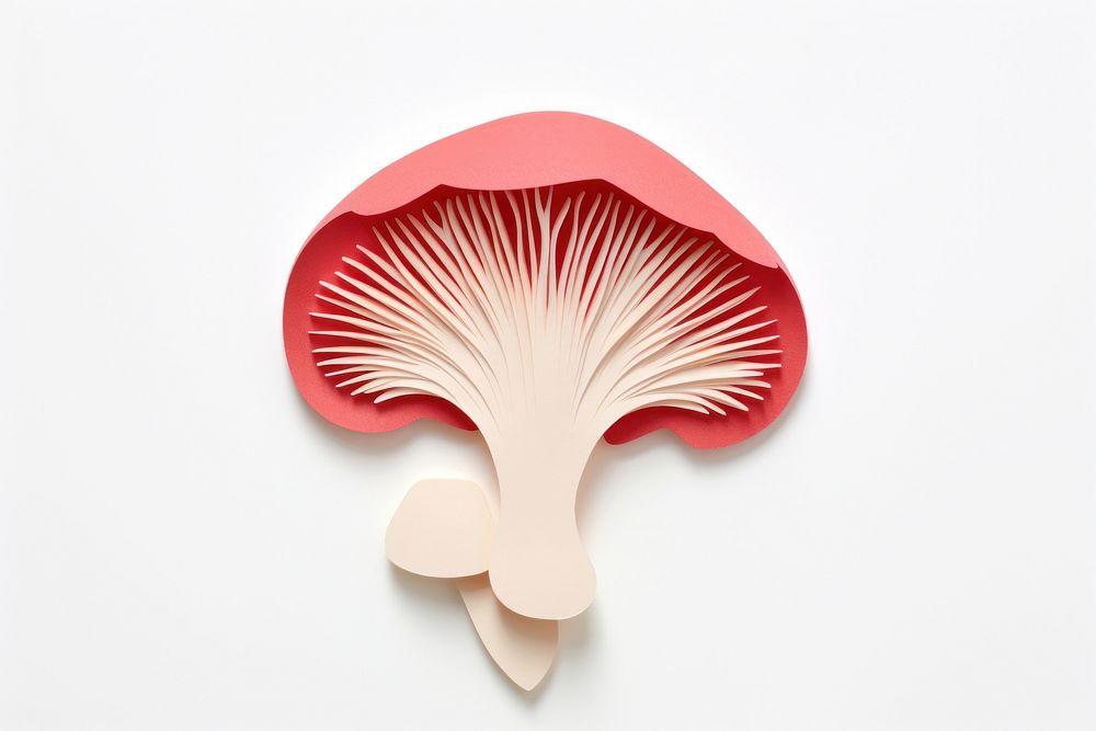 Mushroom fungus plant white background. AI generated Image by rawpixel.