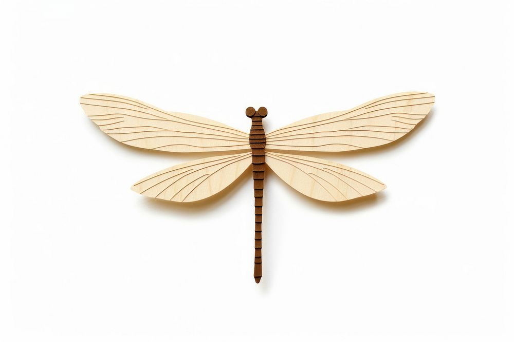Simple dragonfly insect animal white background. AI generated Image by rawpixel.