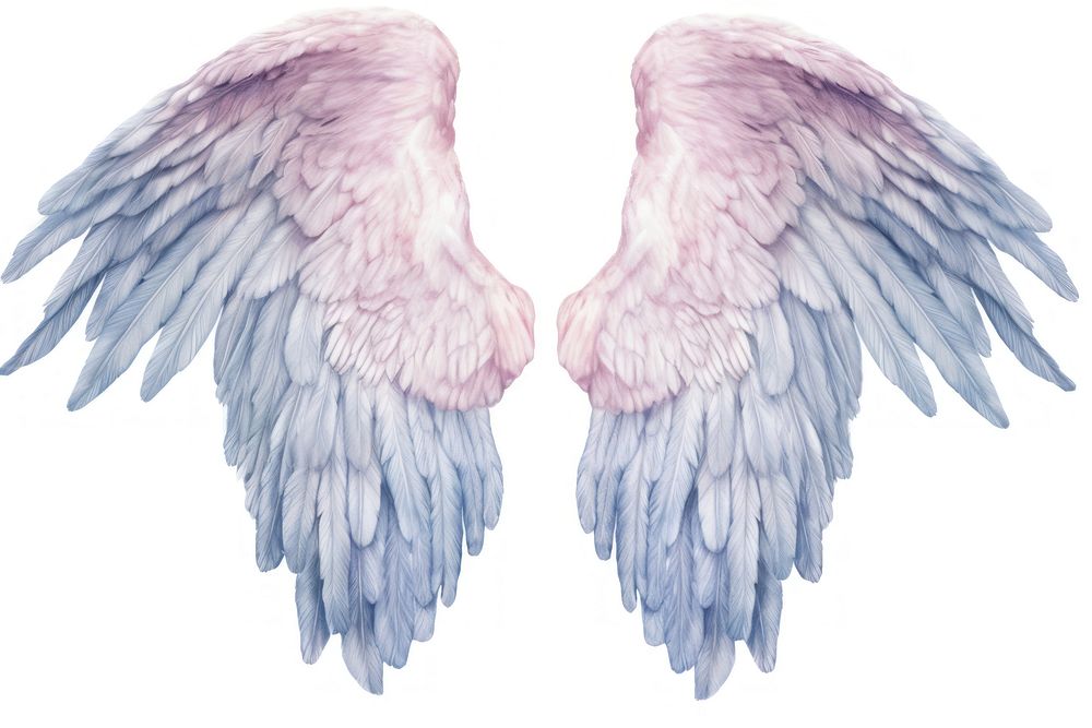 Angel wings bird white background archangel. AI generated Image by rawpixel.