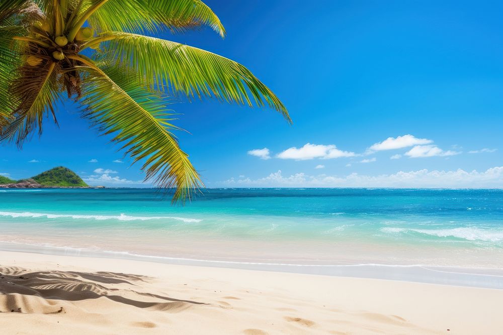 Sandy tropical beach landscape outdoors tropics. 