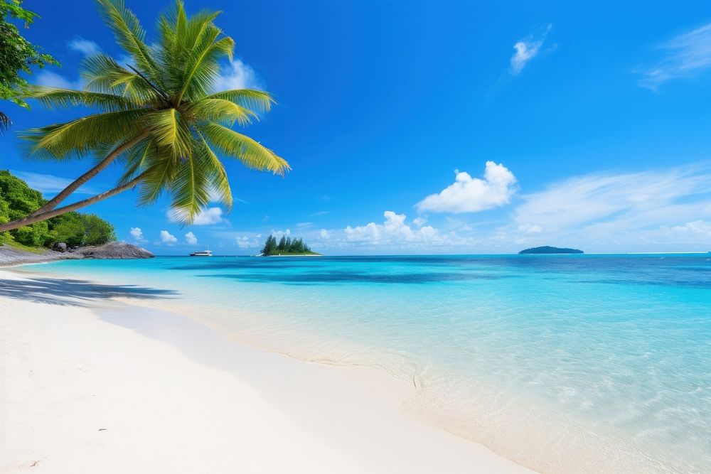 Sandy tropical beach land outdoors tropics. AI generated Image by rawpixel.