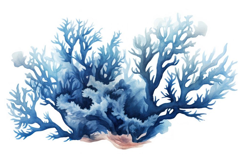 Coral outdoors nature blue. AI generated Image by rawpixel.