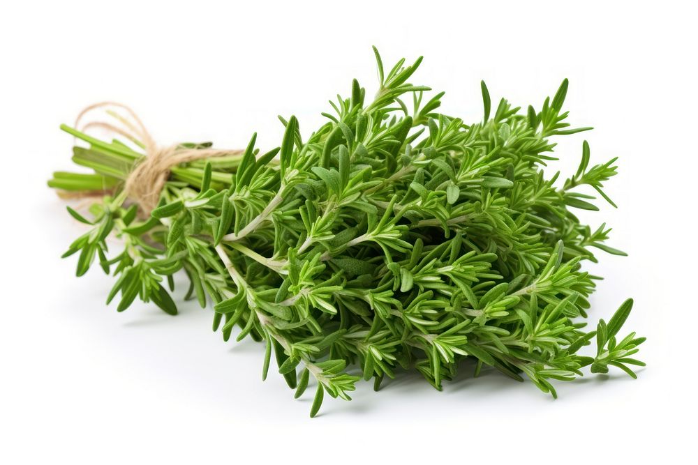 Plant herbs food ingredient. AI generated Image by rawpixel.