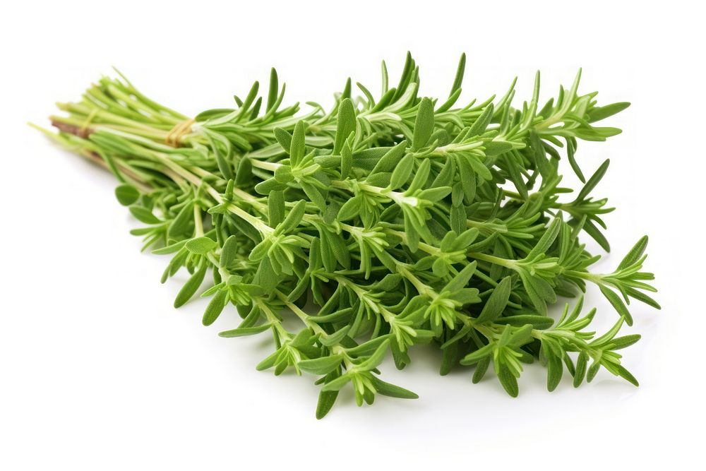 Plant ingredient vegetable coriander. AI generated Image by rawpixel.