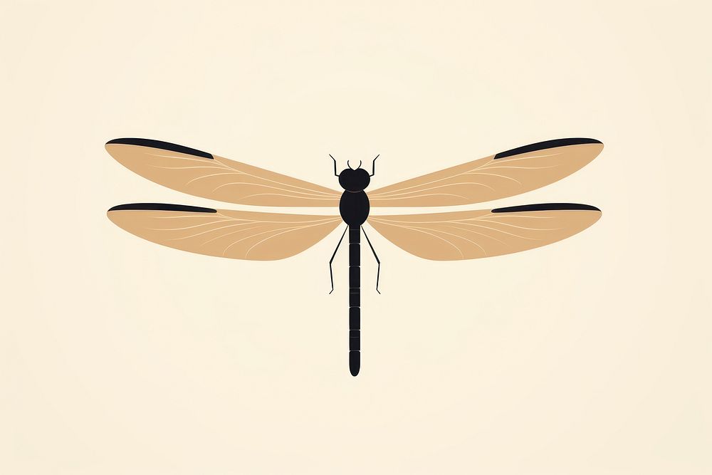 Dragonfly wildlife insect animal. 