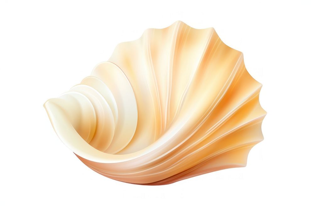 Seashell white background invertebrate simplicity. AI generated Image by rawpixel.