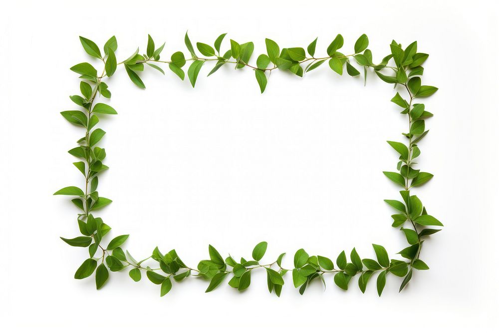 Greenery border leaf plant white background. 