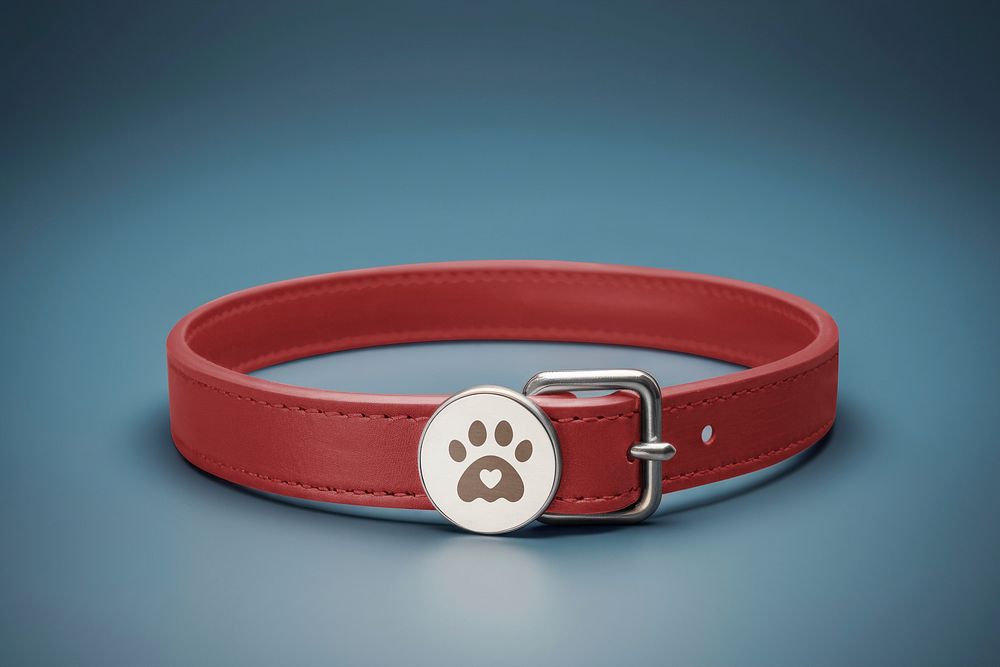 Pet collar mockup, tag psd