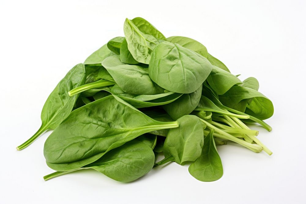 Fresh spinach vegetable plant food. AI generated Image by rawpixel.