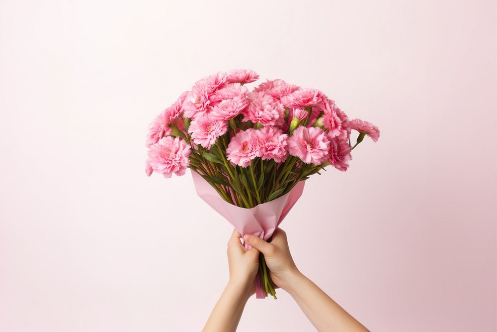 Pink flower bouquet holding plant adult. 