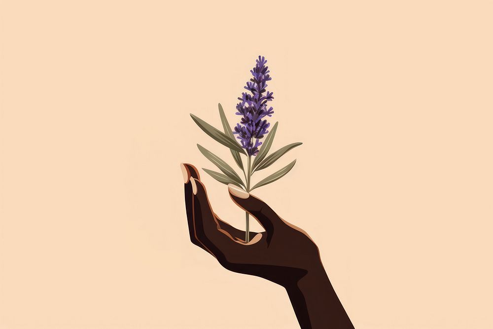 Hand holding lavender flower plant freshness. AI generated Image by rawpixel.