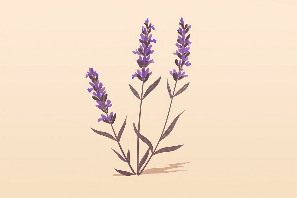 Lavender flower plant tranquility fragility. AI generated Image by rawpixel.
