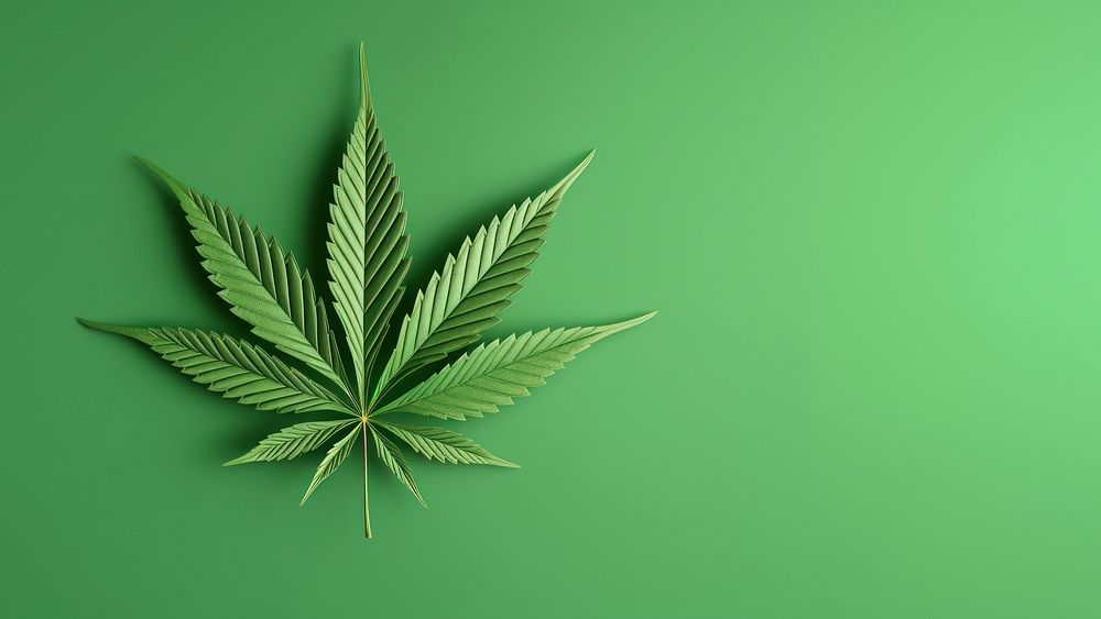 Cannabis leaf plant green medicine. AI generated Image by rawpixel.