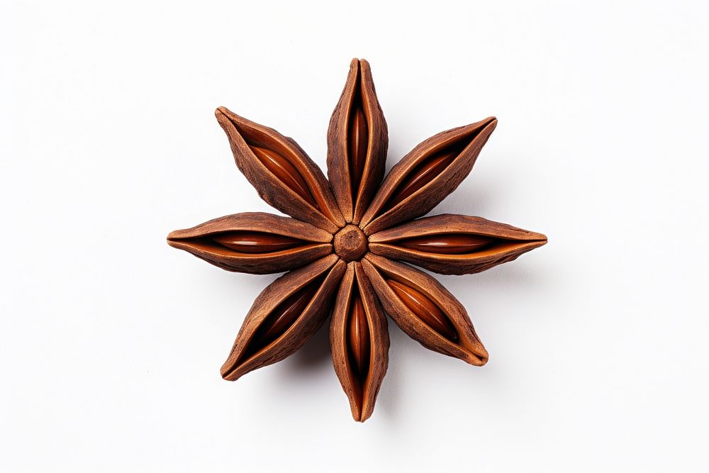 Star anise white background ingredient echinoderm. AI generated Image by rawpixel.