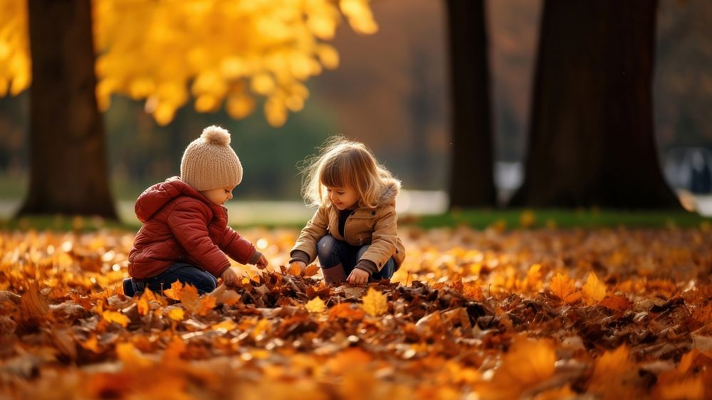 Kids play leaf autumn plant child. 