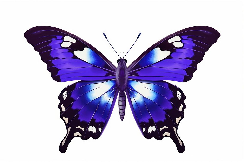 Purple Emperor Butterfly butterfly insect animal. AI generated Image by rawpixel.
