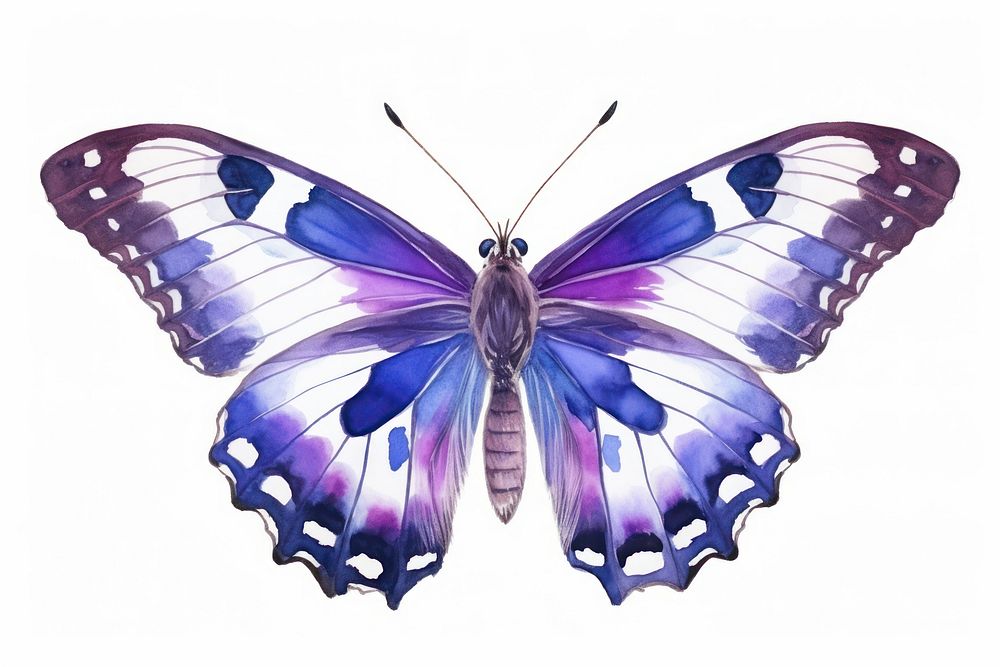 Butterfly animal insect purple. AI generated Image by rawpixel.
