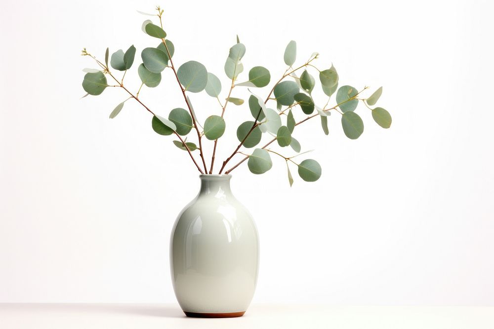 Vase flower plant leaf. AI generated Image by rawpixel.