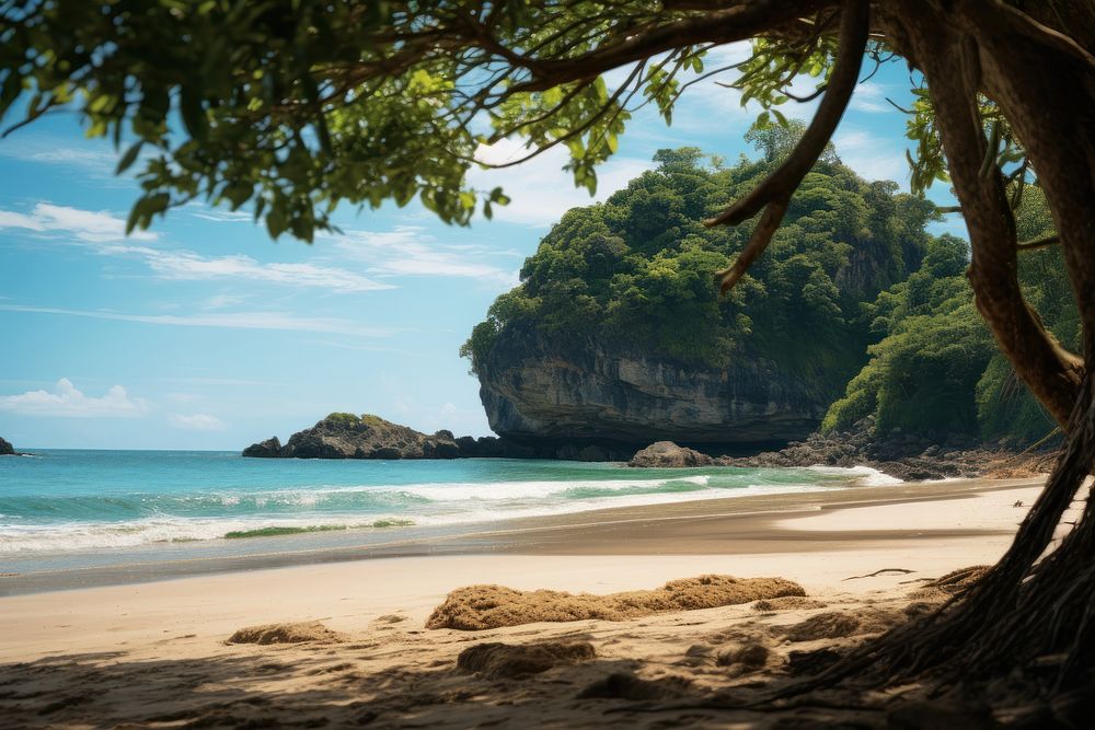 Beach land landscape outdoors. 