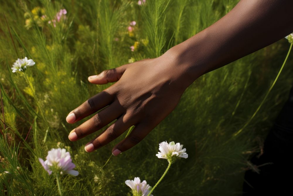 Flower hand outdoors nature. AI generated Image by rawpixel.