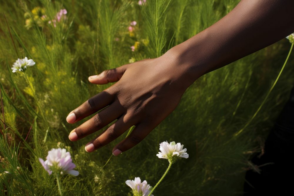 Flower hand outdoors nature. 