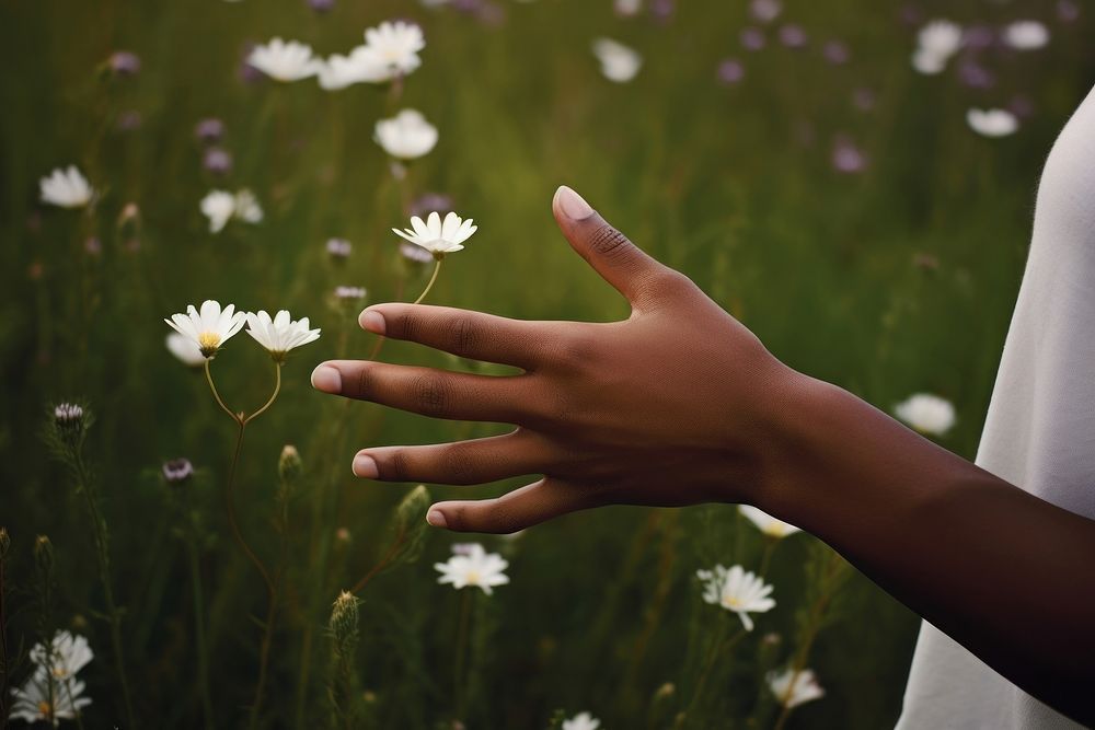 Flower hand meadow finger. 